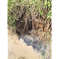 King tide image